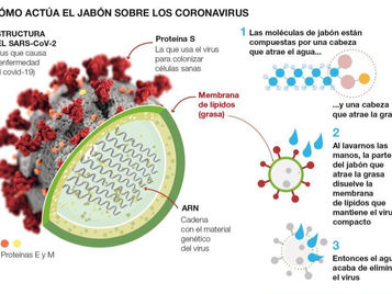 ¿Por qué funciona el jabón?