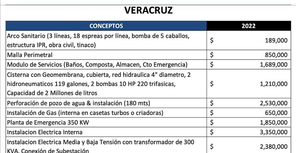 corrida financiera