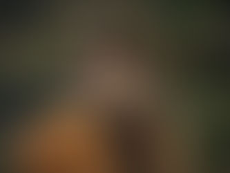 Un hombre salía de McDonald´s cuando fue atacado por un venado (video)