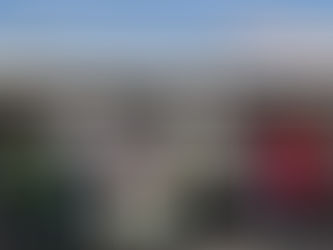 PC y PROFEPA coordinan esfuerzos para salvar fauna silvestre