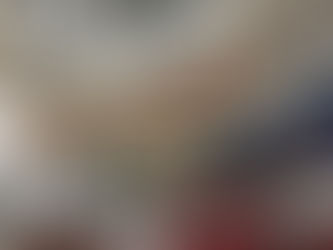 El avión de Sarabia