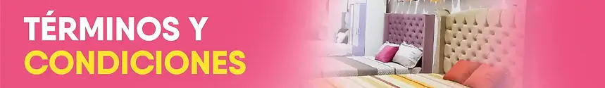 TERMINOS Y CONDICIONES