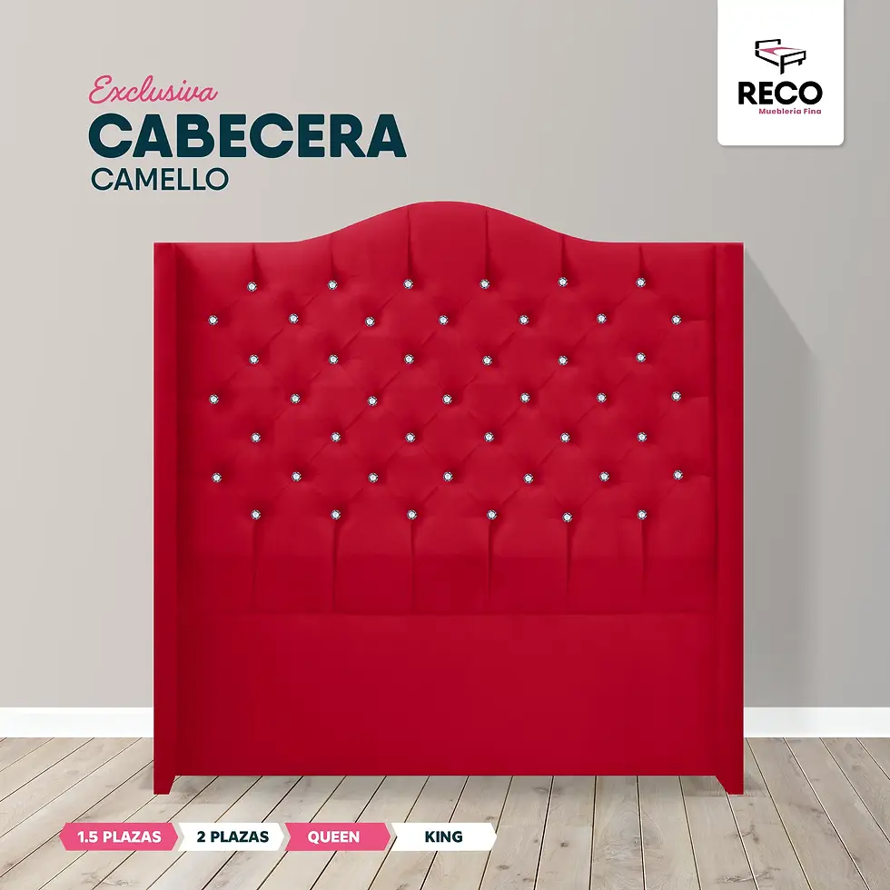 Miniatura: Cabecera Camello