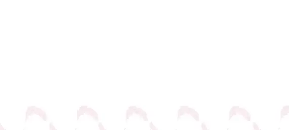 fondo terminos.webp