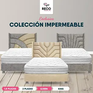 COLECCIÓN IMPERMEABLE.webp