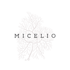 Micelio (1).png