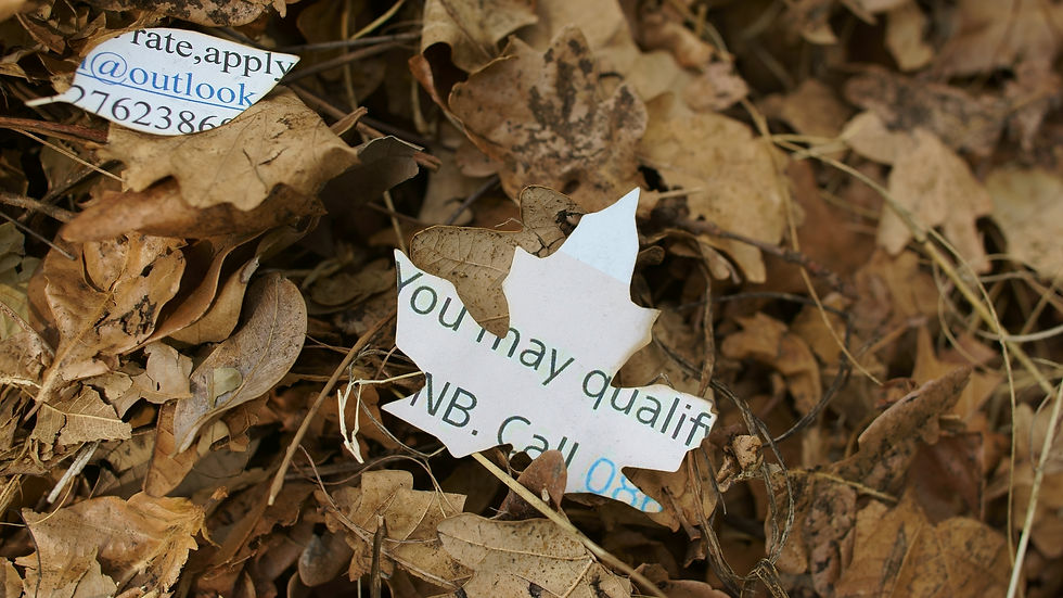 How can we help you? - leaf detail