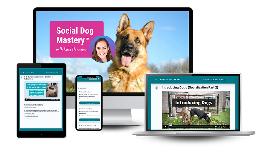 Social Dog Mastery™️