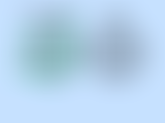 The TRUTH about my online programs