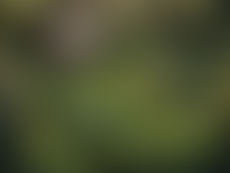 Greetings, traveler, and welcome to our farm!