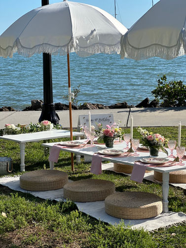 Luxury beach picnic for a special occasion
