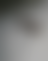 Behind the carpentry at New Heighs Carpentry, Reigate, Surrey.