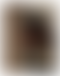 Behind the carpentry with New Heights Carpentry, Reigate, Surrey.