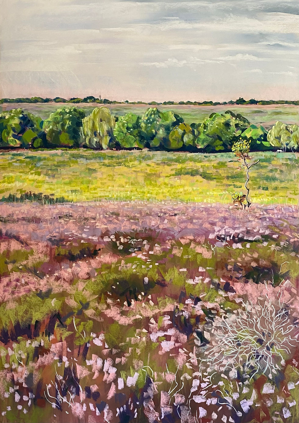 View to Sway across Milking Pound Bottom