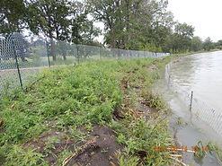 DSCN9104.JPG