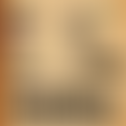 In The Wyld - Official Women's Event 2026 @ Twisted Tonic