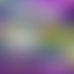 Spotlight Mega Mixer 2026 @ Lincoln Rd