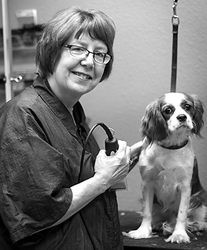 North Scottsdale Animal Hospital Groomer