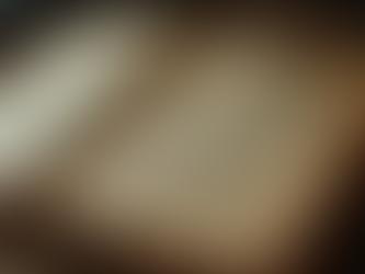 The Enchanting World of the Mithra Series: A Deep Dive into Historical Fantasy