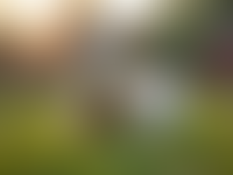 Muddy Paws Farm Rescue: A Closer Look