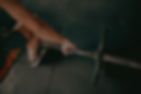 Banner Home.jpg