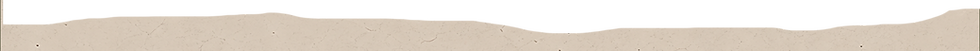 Torn_Top.png