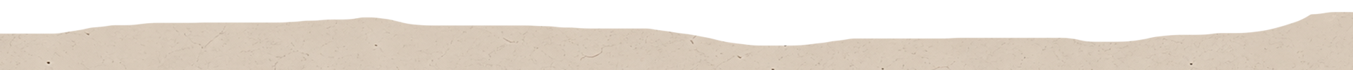 Beige_Transparent.png