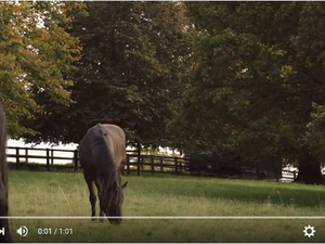 Best Ads of the Year