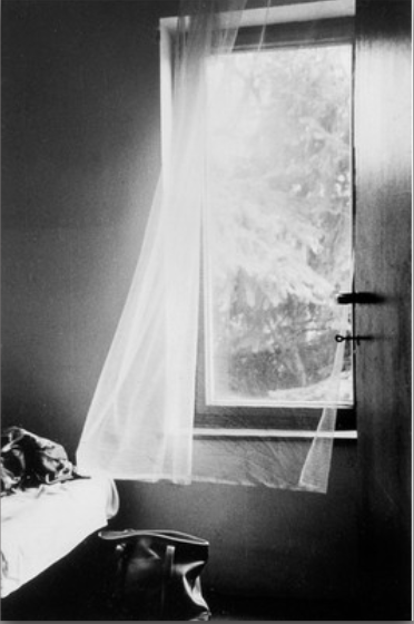 FINE ART PHOTOGRAPHY PRINTS / Limited Edition