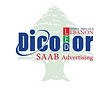 OUR LOGO OF DICOLOR-LEBANON