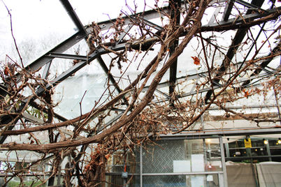 park selection 26.jpg