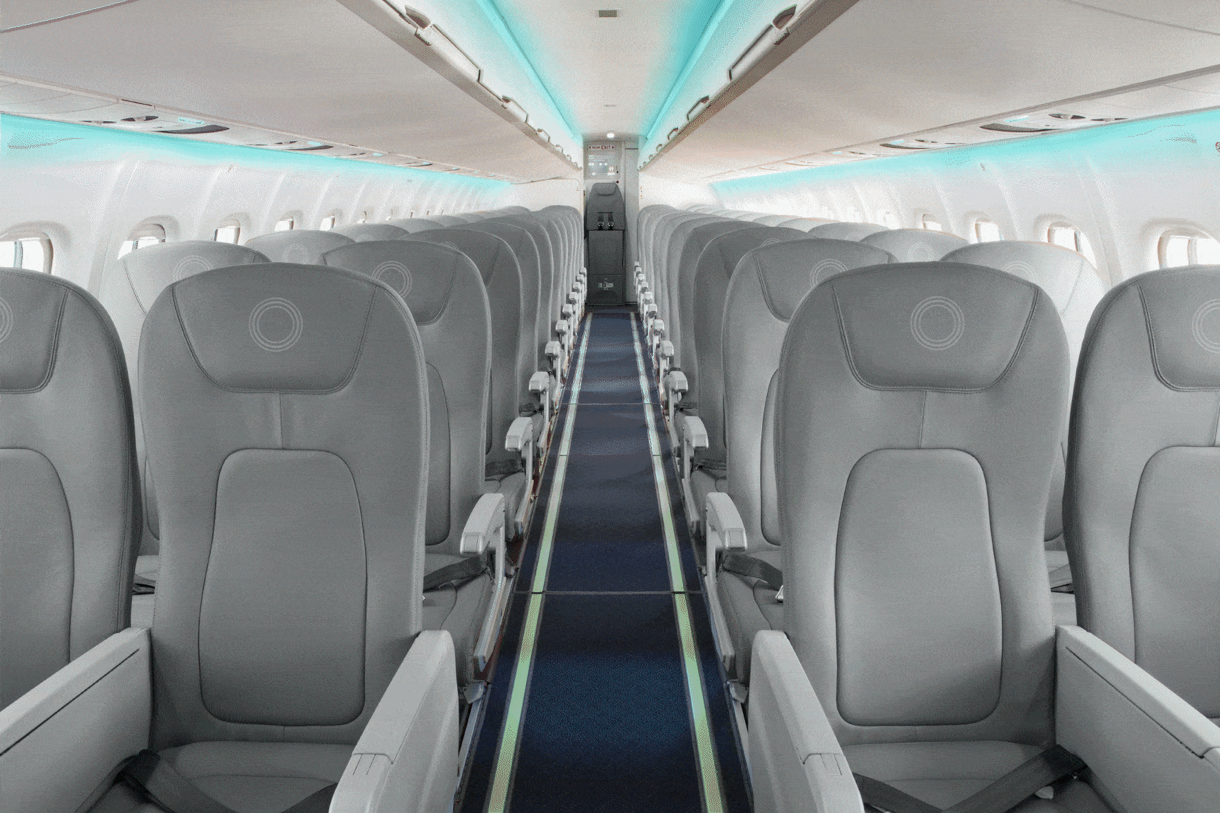 silver inside plane(1)_1-min.gif