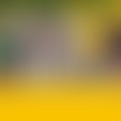 Le Tour de Tealby - Thursday, October 14th, 2021, 6am to 6pm.