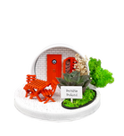 Tununcu Panjurlu Ev-Minyatür Bahçe