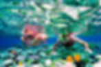 Coral2.jpg