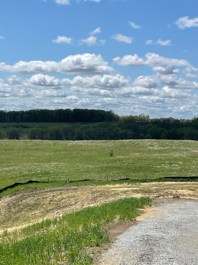 Iowa Land Greiner Real Estate & Auction LLC