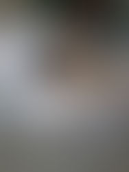 Como evitar acidentes com o pet dentro de casa?