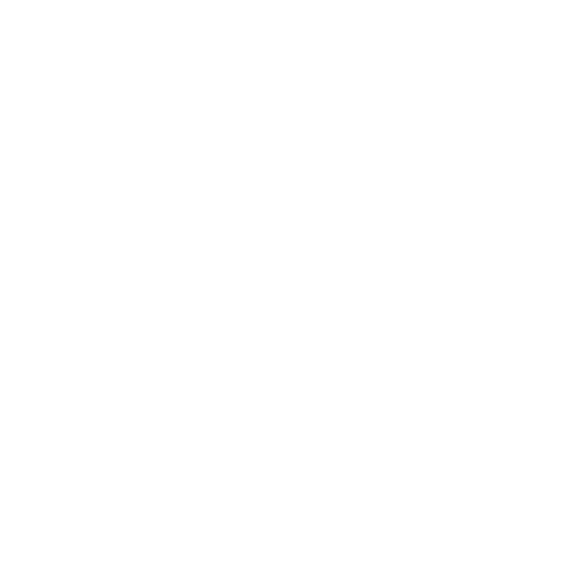 048-bag.png