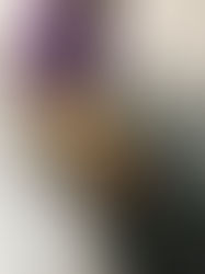 Reabilitação animal: a importância do uso da hidroesteira