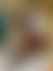 Doenças renais em pets cadeirantes