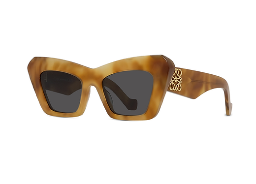 LOEWE ノート 【bom】 Bird charm in classic calfskin Multicolor - LOEWE