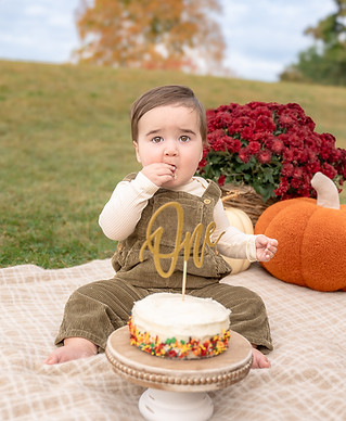 Teddy's Cake Smash Session Christina Welling Photography-12.jpg
