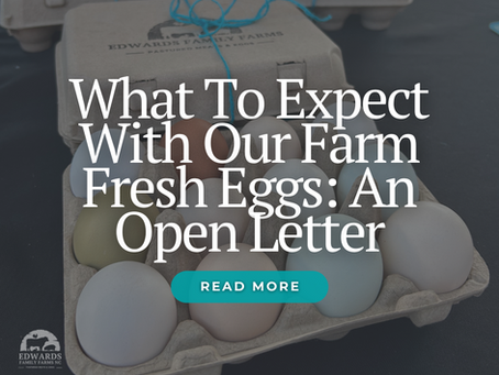 what to expect with our farm fresh eggs blog
