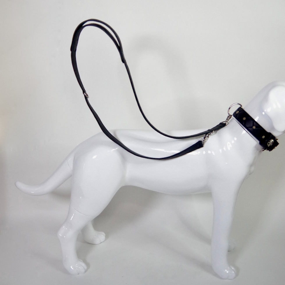 Thumbnail: McQueen Mix and Match Leash