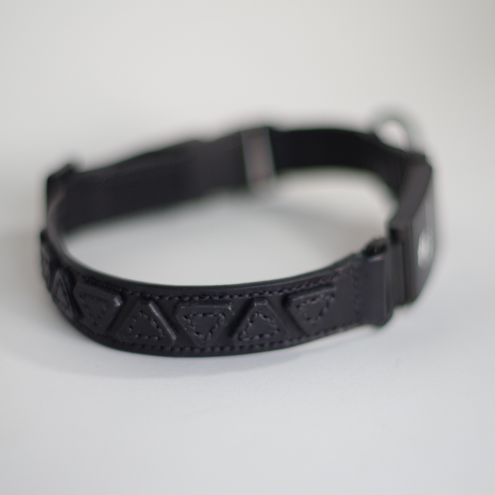 Thumbnail: Triangle Vachetta Leather M+M X Fi Collar