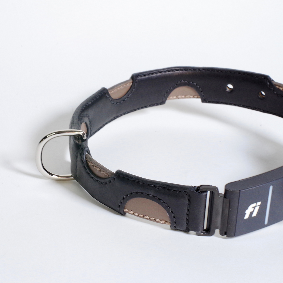 Thumbnail: Cut-Out M+M X Fi Collar - Multiple Colors