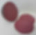 BLOSE BOLOGNA