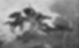 1178px-The_Ride_of_the_Valkyrs en.jpg