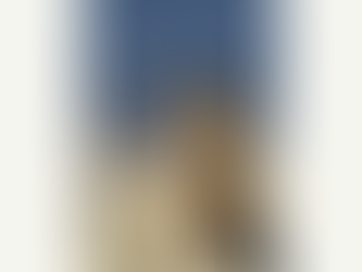 Reviving Palmyra in Multiple Dimensions: Images, Ruins and Cultural Memory