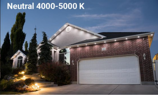 RGB accent lighting that is installed for year round use that you can program from an app on your phone. Lot's of holiday lighting options from this permanent accent lighting look. You can compete with Trim light, ever lights, oleo lights, gemstone lights, vivid lights, gemstate lights, treasure valley trim lights. Jellyfish lights are the absolute best for what you want to do with permanent holiday lighting.